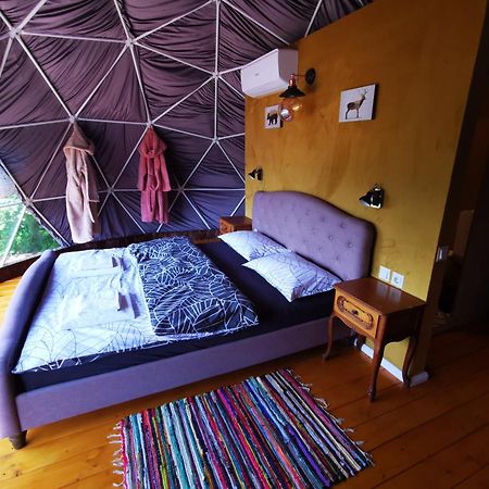 Glamping Zazen Hotel Drumu Carului ภายนอก รูปภาพ