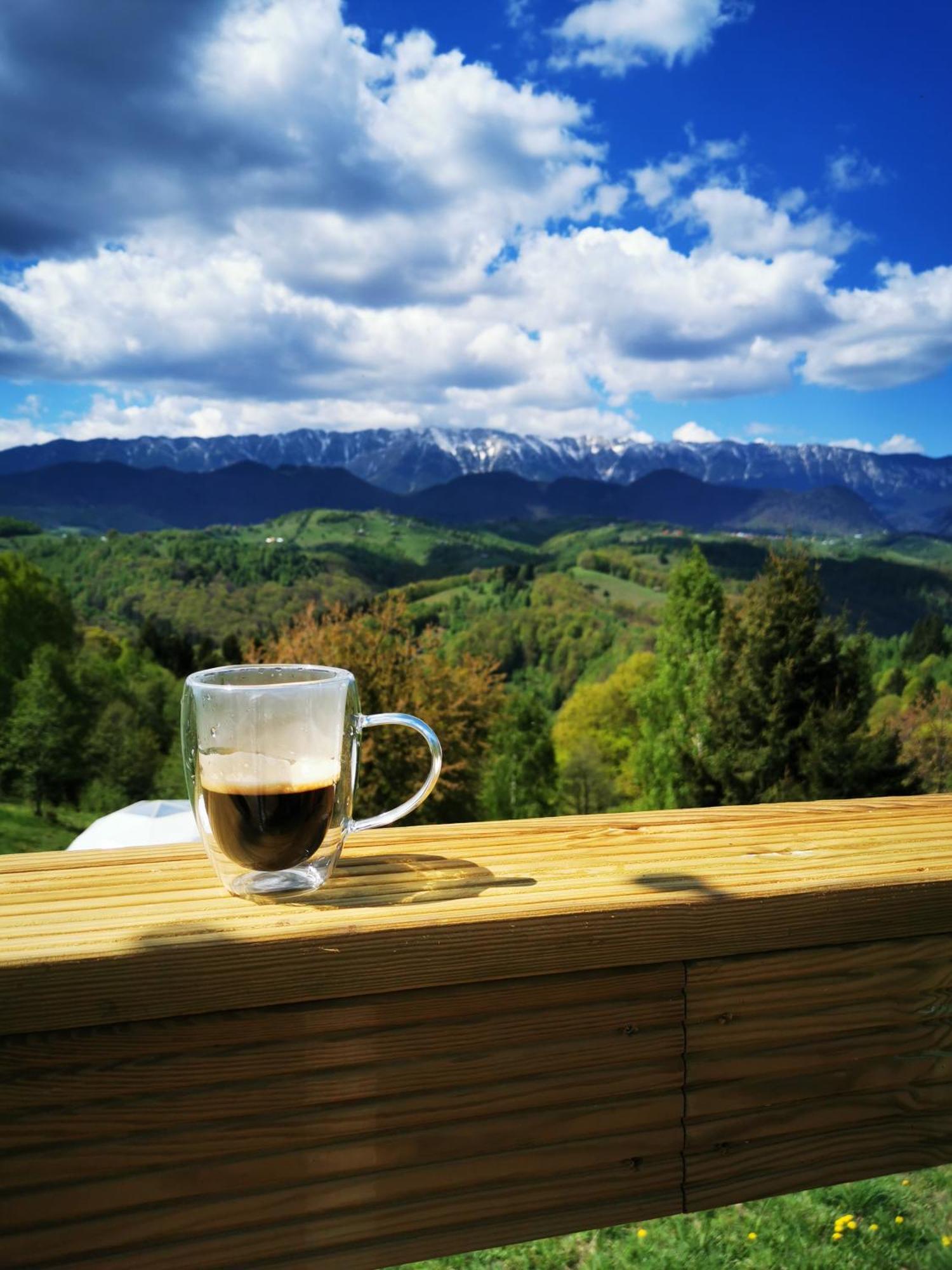 Glamping Zazen Hotel Drumu Carului ภายนอก รูปภาพ