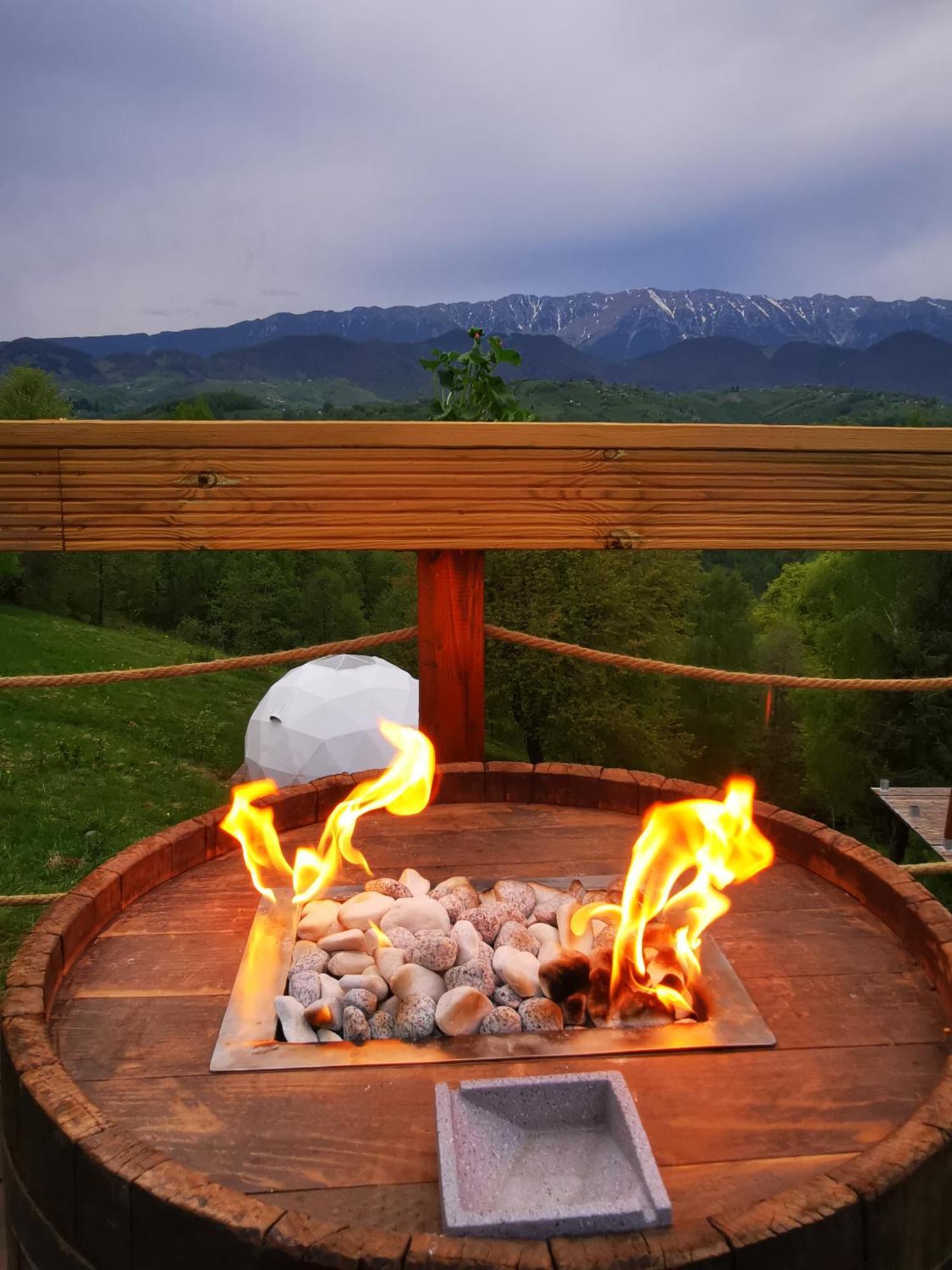 Glamping Zazen Hotel Drumu Carului ภายนอก รูปภาพ