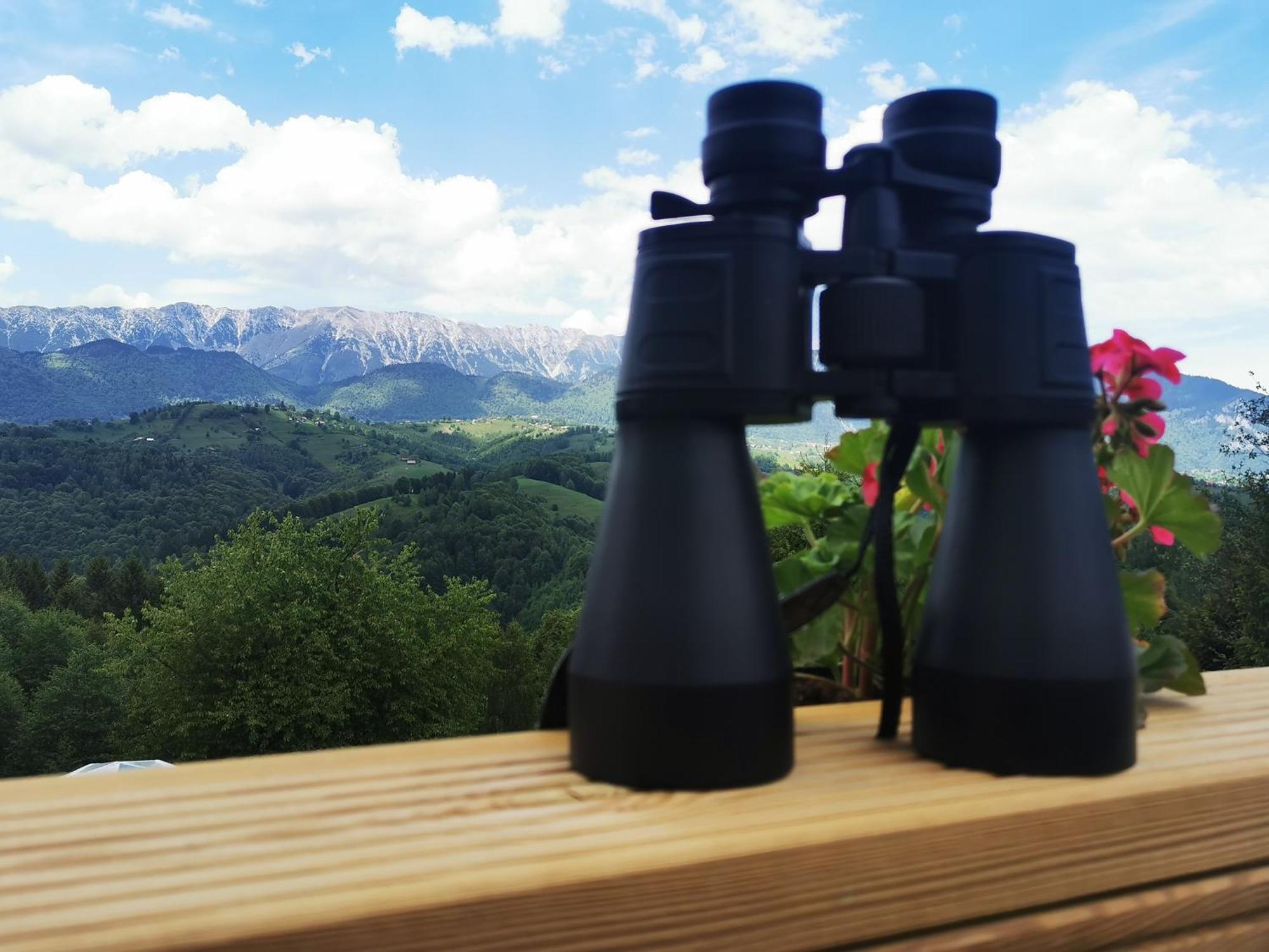 Glamping Zazen Hotel Drumu Carului ภายนอก รูปภาพ