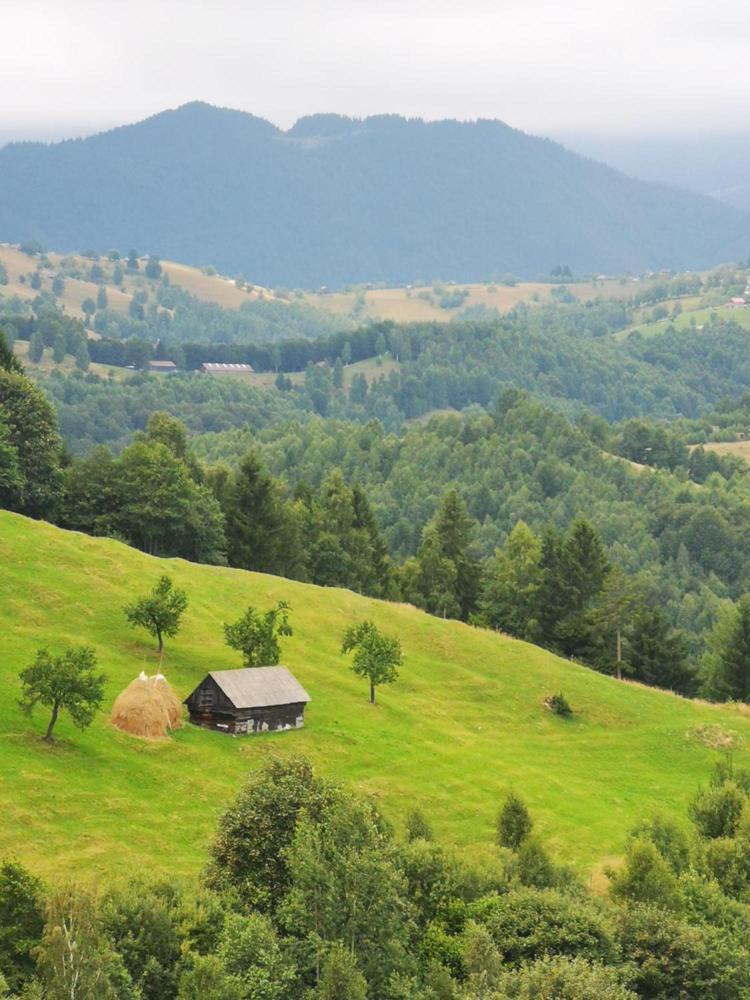 Glamping Zazen Hotel Drumu Carului ภายนอก รูปภาพ