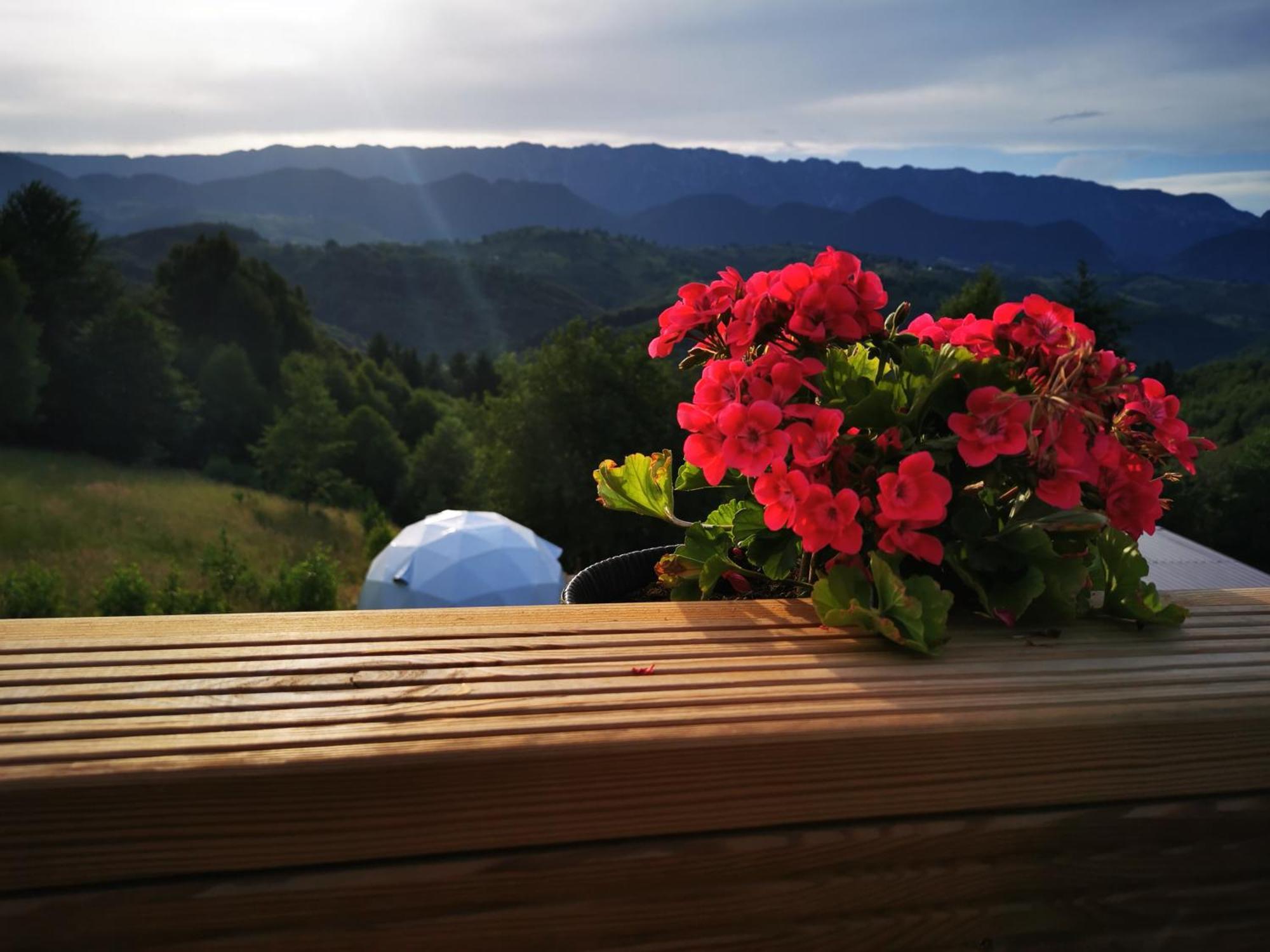Glamping Zazen Hotel Drumu Carului ภายนอก รูปภาพ